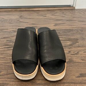 VINCE slides